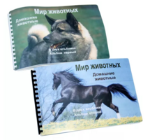 Пособие для слабовидящих - Домашние животные - fgospostavki.ru - Тамбов