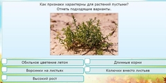 Интерактивные курсы. Окружающий мир 3 класс . Базовый. - fgospostavki.ru - Тамбов