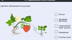 Интерактивные курсы. Биология 7 класс. Расширенный. - fgospostavki.ru - Тамбов