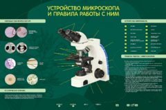 Электрифицированный стенд "Устройство микроскопа и правила работы c ним" - fgospostavki.ru - Тамбов