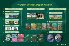 Электрифицированный стенд "Уровни организации жизни" - fgospostavki.ru - Тамбов