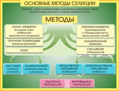 Стенд "Методы селекции и биотехнологии" - fgospostavki.ru - Тамбов