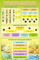 Стенд "Классификация животного мира" - fgospostavki.ru - Тамбов