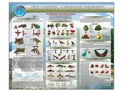 Стенд "Как выжить в суровых условиях" - fgospostavki.ru - Тамбов
