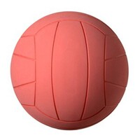 Мяч для игры в торбол звенящий - fgospostavki.ru - Тамбов