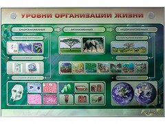 Электрифицированный стенд "Уровни организации жизни" - fgospostavki.ru - Тамбов