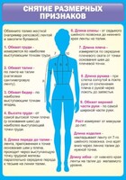 Стенд "Снятие мерок" Вариант 2 - fgospostavki.ru - Тамбов