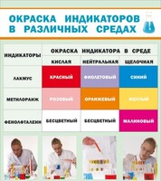 Стенд "Окраска индикаторов в различных средах" - fgospostavki.ru - Тамбов