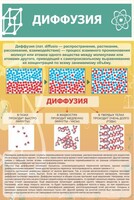 Стенд "Диффузия" - fgospostavki.ru - Тамбов