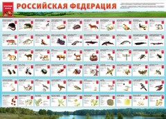 Стенд "Красная книга РФ" - fgospostavki.ru - Тамбов