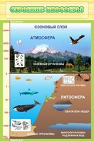 Стенд "Строение биосферы" - fgospostavki.ru - Тамбов
