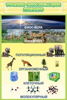 Стенд "Уровни организации живого" - fgospostavki.ru - Тамбов