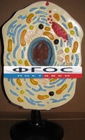 Модель "Клетка животного" - fgospostavki.ru - Тамбов