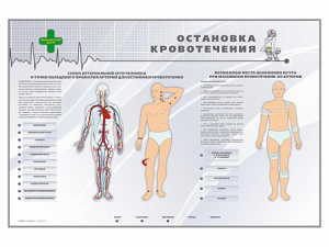 Электрифицированный стенд "Остановка кровотечения" - fgospostavki.ru - Тамбов