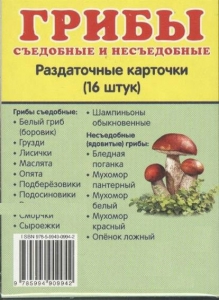 Раздаточные карточки "Грибы съедобные и не съедобные" - fgospostavki.ru - Тамбов
