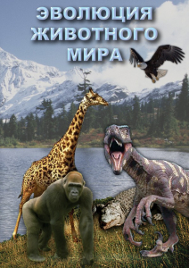 DVD "Эволюция животного мира" - fgospostavki.ru - Тамбов