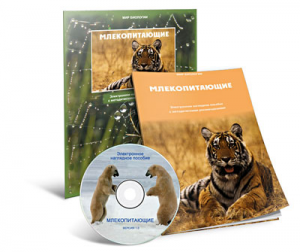 Электронное наглядное пособие «Млекопитающие» - fgospostavki.ru - Тамбов