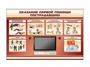 Многофункциональный интерактивный стенд-тренажер "Оказание первой помощи пострадавшим" для учащихся общеобразовательных учреждений - fgospostavki.ru - Тамбов