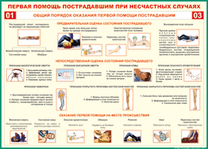 Таблица "Общий порядок оказания первой помощи пострадавшим" (100х140 сантиметров, винил) - fgospostavki.ru - Тамбов