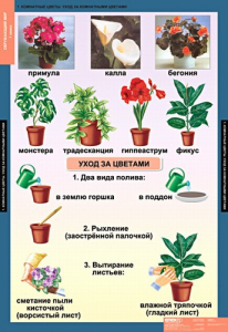 Комплект таблиц. Окружающий мир 1 класс. - fgospostavki.ru - Тамбов