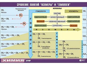 Таблица демонстрационная "Сравнение понятий изомер и гомолог" (винил 70x100) - fgospostavki.ru - Тамбов