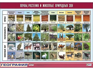 Таблица демонстрационная "Почвы, растения и животные природных зон" (винил 70*100) - fgospostavki.ru - Тамбов