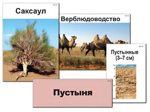 Модель-аппликация "Природные зоны России" (ламинированная) - fgospostavki.ru - Тамбов
