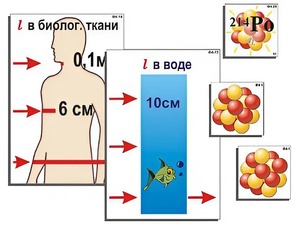 Модель-аппликация "Явление радиоактивности" (ламинированная) - fgospostavki.ru - Тамбов
