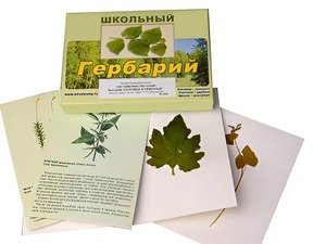 Гербарий "Систематика растений. Высшие споровые и семенные" (раздаточный) - fgospostavki.ru - Тамбов