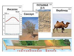Модель-аппликация "Природные зоны" - fgospostavki.ru - Тамбов