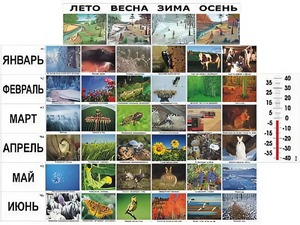 Фенологические наблюдения - fgospostavki.ru - Тамбов