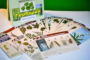 Гербарий к курсу основ общей биологии - fgospostavki.ru - Тамбов