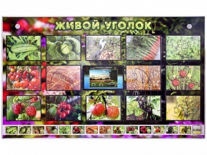 Комплект оборудования "Живой уголок" (растения) с тифлопереводом и сурдокомментариями - fgospostavki.ru - Тамбов