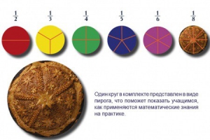 Учебно-игровой комплекс на магнитах "Доли круга" - fgospostavki.ru - Тамбов