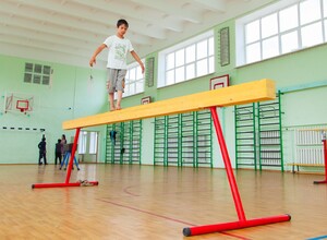 Бревно гимнастическое напольное постоянной высоты (700 мм) (5 м) - fgospostavki.ru - Тамбов