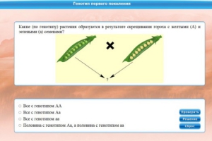 Интерактивные курсы. Биология 11 класс. Базовый. - fgospostavki.ru - Тамбов