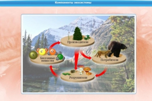 Интерактивные курсы. Биология 7 класс. Базовый. - fgospostavki.ru - Тамбов