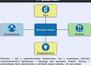 Интерактивные курсы. Биология 5 класс. Базовый - fgospostavki.ru - Тамбов