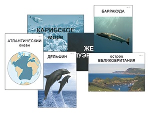 Модель-аппликация "Океаны. Знакомство" (ламинированная) - fgospostavki.ru - Тамбов