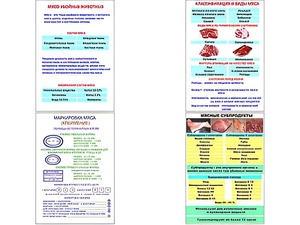 Плакаты ПРОФТЕХ "Классификации и виды мяса" (4 пл, винил, 70х100) - fgospostavki.ru - Тамбов
