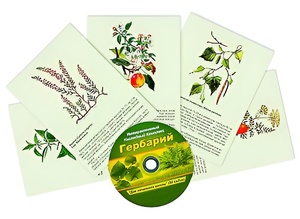 Интерактивный наглядный комплекс "Гербарий "Для начальной школы" - fgospostavki.ru - Тамбов