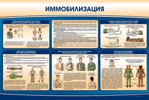 Стенд "Иммобилизация" - fgospostavki.ru - Тамбов