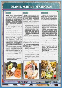 Стенд "Белки. Жиры. Углеводы" - fgospostavki.ru - Тамбов
