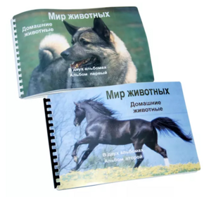 Пособие для слабовидящих - Домашние животные - fgospostavki.ru - Тамбов