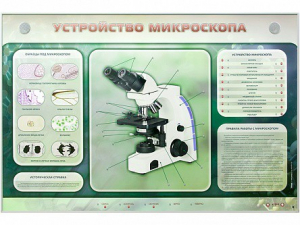 Электрифицированный стенд "Устройство микроскопа и правила работы c ним" - fgospostavki.ru - Тамбов