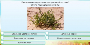 Интерактивные курсы. Окружающий мир 3 класс . Базовый. - fgospostavki.ru - Тамбов