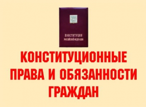 Комплект плакатов "Конституционные права и обязанности граждан" - fgospostavki.ru - Тамбов