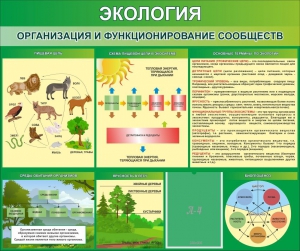 Стенд "Экология. Организация и функционирование сообществ" - fgospostavki.ru - Тамбов