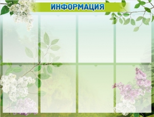 Стенд "Информация" Вариант 13 - fgospostavki.ru - Тамбов