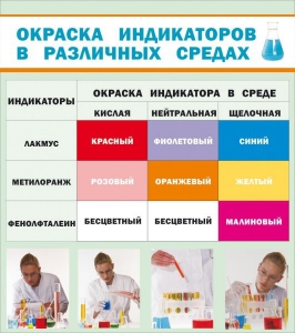 Стенд "Окраска индикаторов в различных средах" - fgospostavki.ru - Тамбов